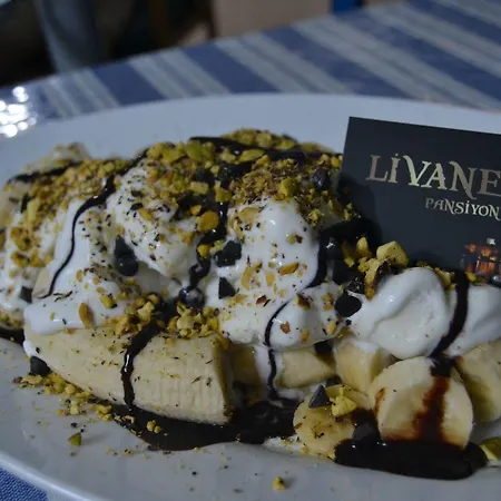 Livane Homestay *